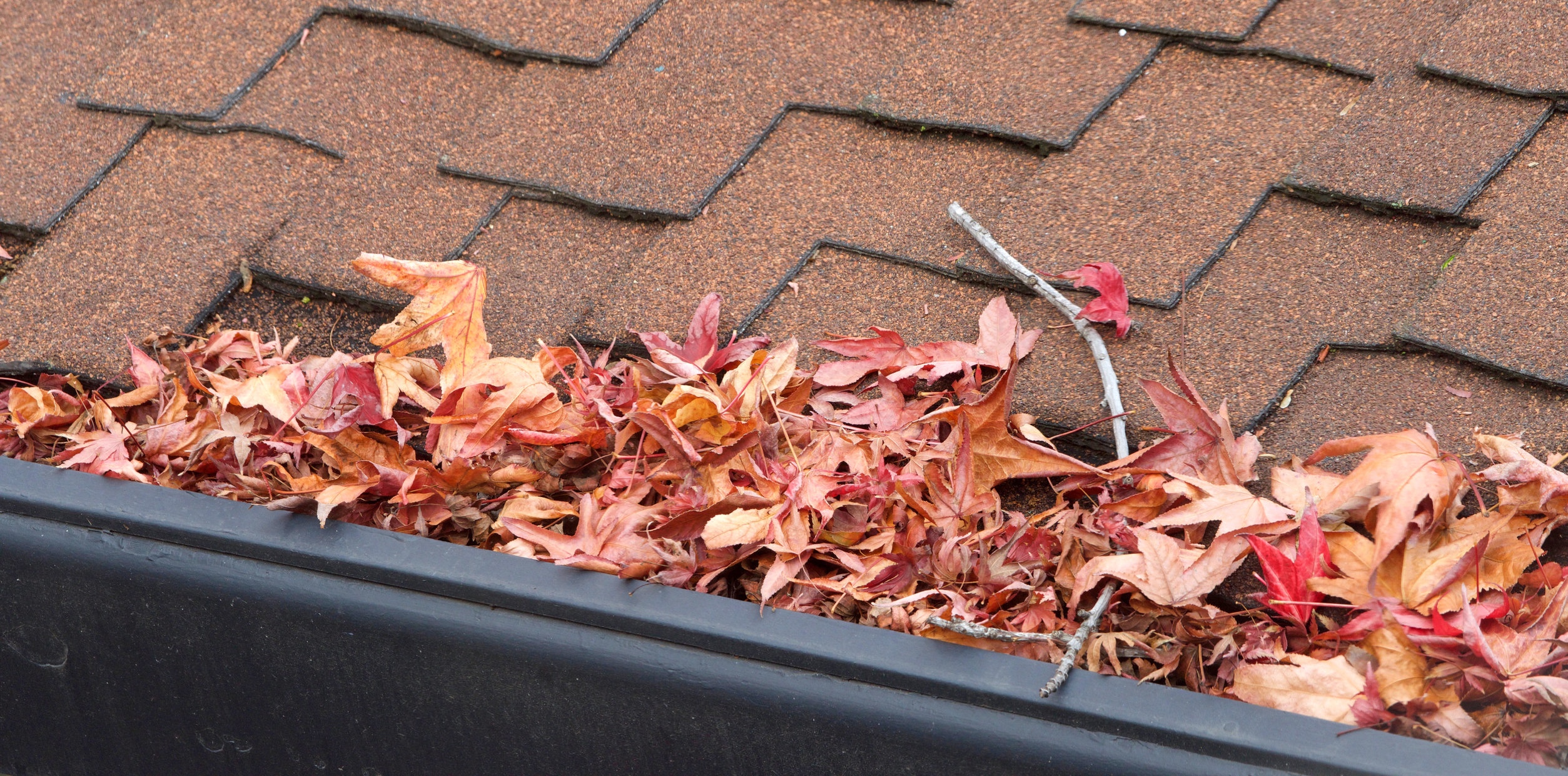 Rain gutters on roof without gutter guards, clogged with leaves, sticks and debris